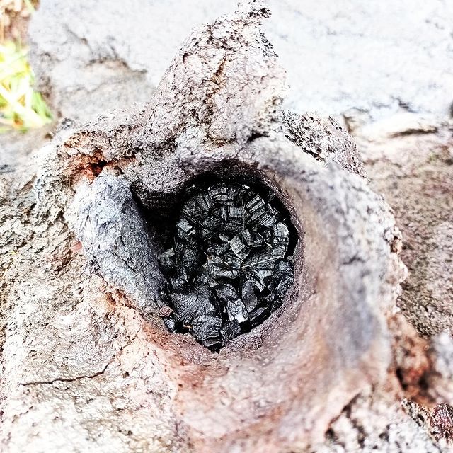 Pyromorphose | Volcan Piton de La Fournaise | Visite et Exploration de Tunnels de Lave | Tourisme Réunion